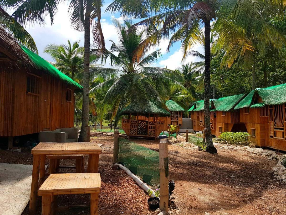 Nirvana Resort & Dive Centre - 莫阿尔博阿 外观 照片