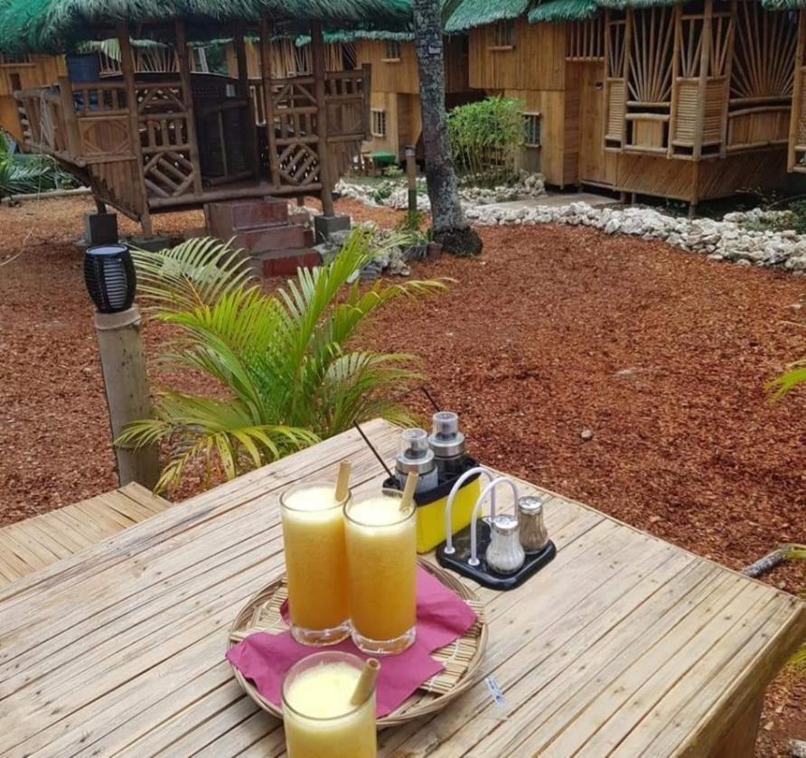Nirvana Resort & Dive Centre - 莫阿尔博阿 外观 照片