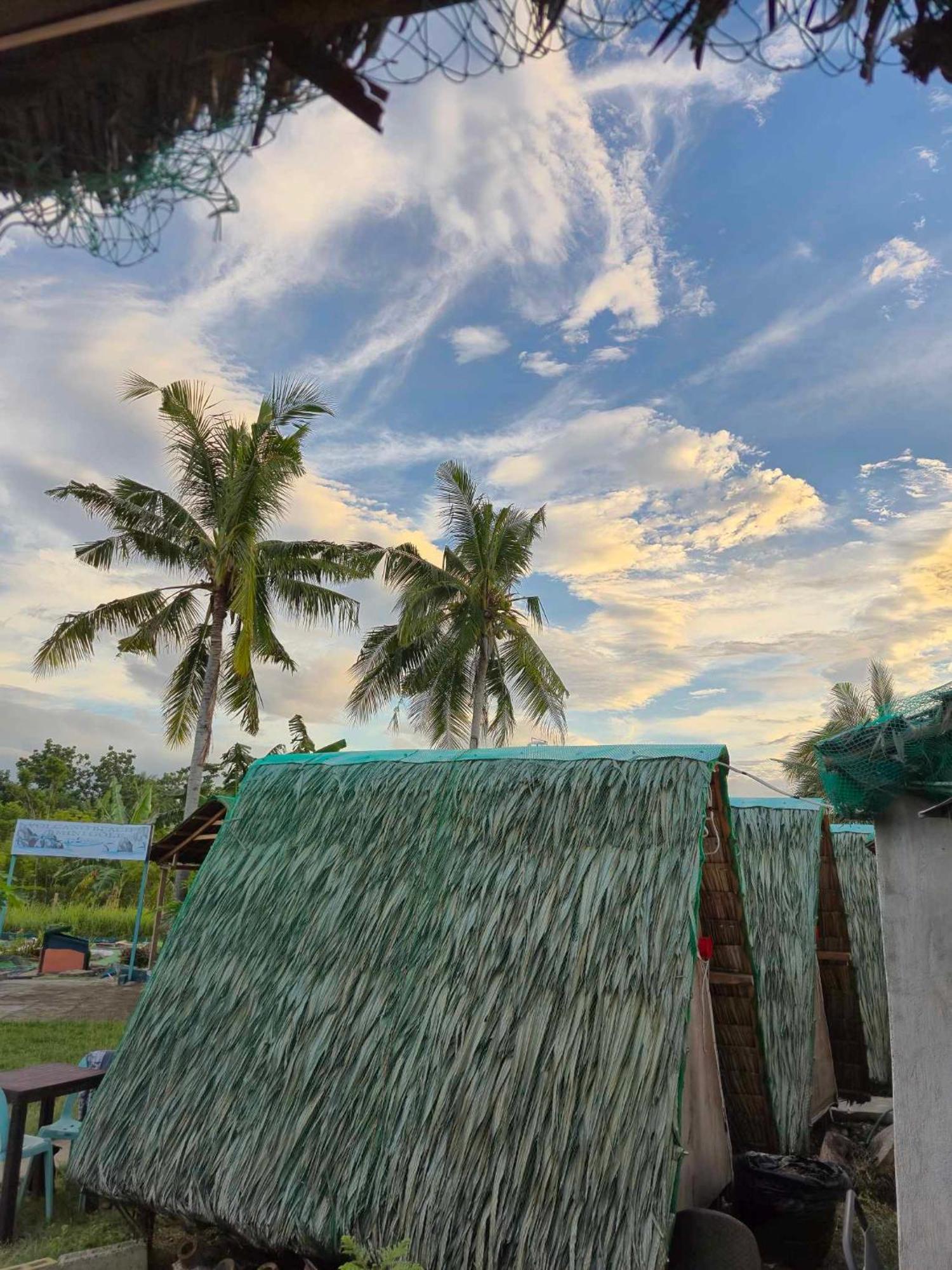 Nirvana Resort & Dive Centre - 莫阿尔博阿 外观 照片