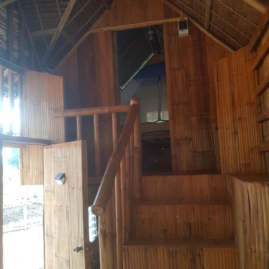Nirvana Resort & Dive Centre - 莫阿尔博阿 外观 照片